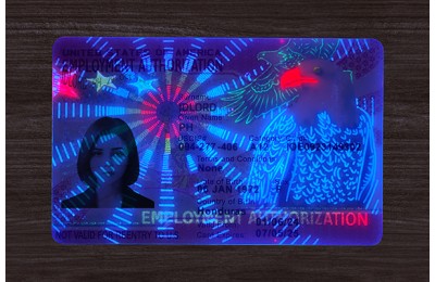 Employment Authorization Card